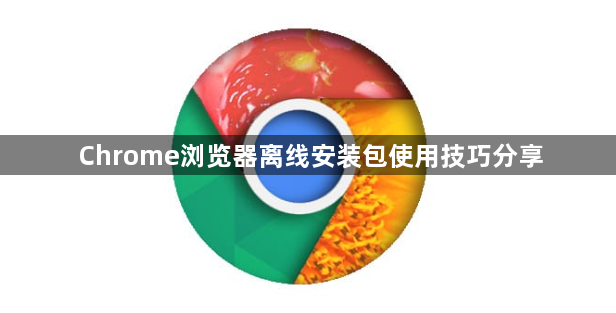 Chrome浏览器离线安装包使用技巧分享1