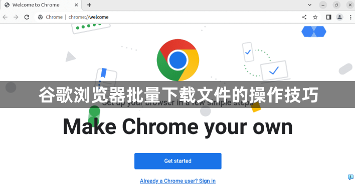 谷歌浏览器批量下载文件的操作技巧1