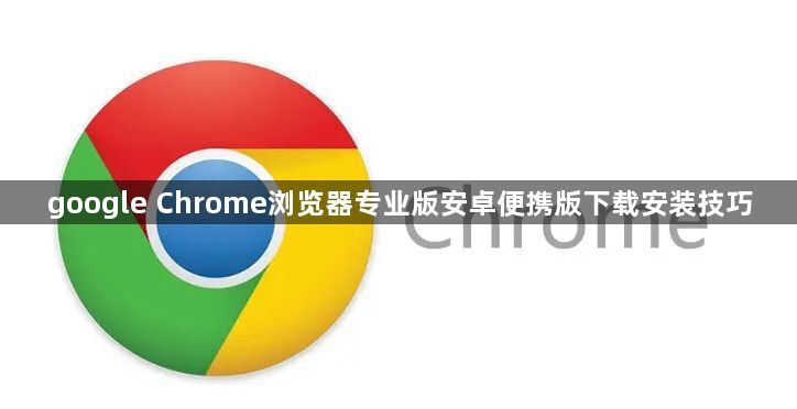 google Chrome浏览器专业版安卓便携版下载安装技巧1