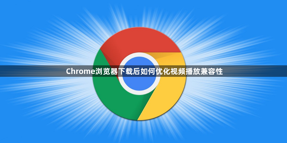 Chrome浏览器下载后如何优化视频播放兼容性1