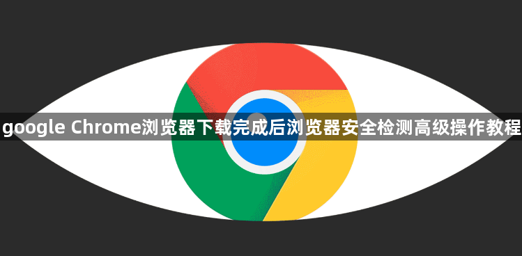 google Chrome浏览器下载完成后浏览器安全检测高级操作教程1