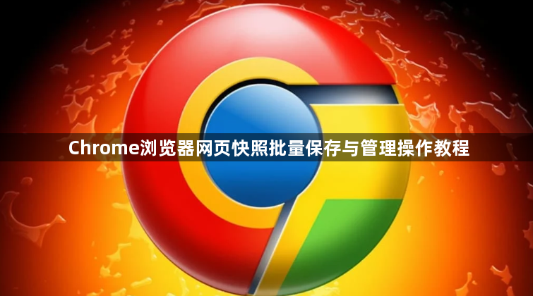 Chrome浏览器网页快照批量保存与管理操作教程1