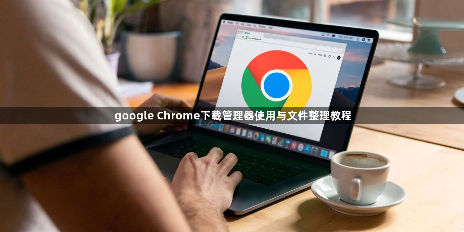 google Chrome下载管理器使用与文件整理教程1