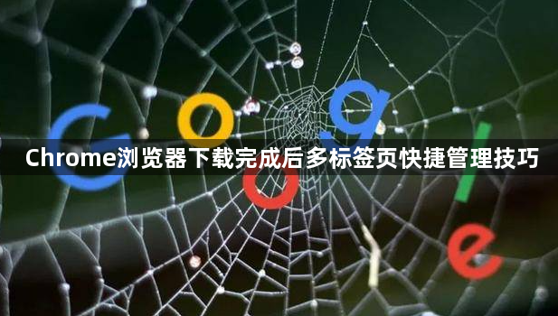 Chrome浏览器下载完成后多标签页快捷管理技巧1