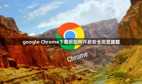 google Chrome下载后如何开启安全浏览提醒1