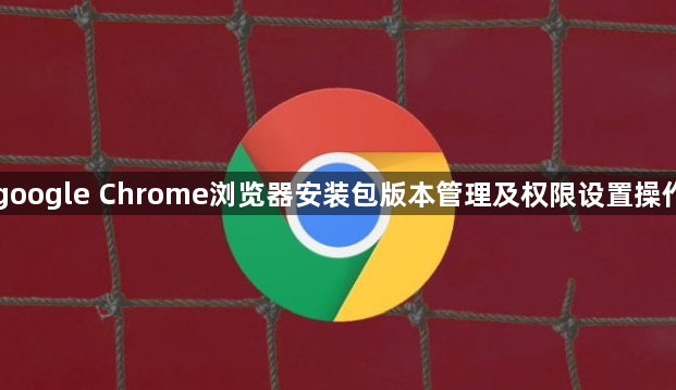 google Chrome浏览器安装包版本管理及权限设置操作1