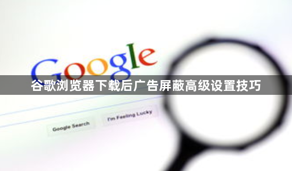 谷歌浏览器下载后广告屏蔽高级设置技巧1