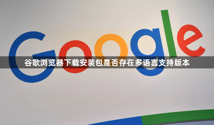 谷歌浏览器下载安装包是否存在多语言支持版本1